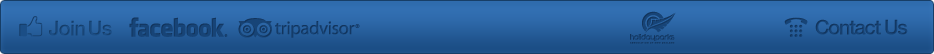 Whatuwhiwhi Social Links
